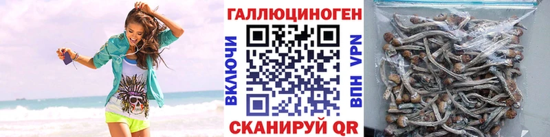 Псилоцибиновые грибы Magic Shrooms наркотики Бабушкин